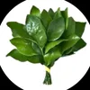 thhanhnguyn64