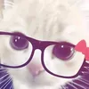 crisbuca6