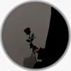 dm._313