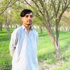 hameed.badizai8