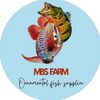 MBS FARM