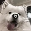 yyq.0