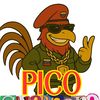 pico.guerrero2.0