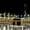 user7840070600061