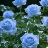 user4931000051084