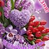 user25242807085994