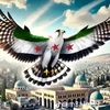 user8881006681855