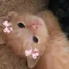 yowmikhs_