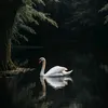 had__ill7