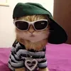 dimpolgriz