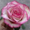 king_mohamed21
