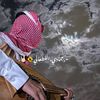 user8800471817404