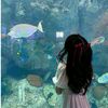 alisha.farhana5