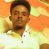 musee.damee