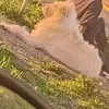 sandramalbel