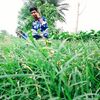 mb.lazjm.islam