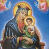 rahel.solomon53