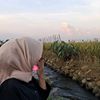 wulan23264