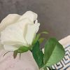 shetu_mbareck