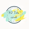 ❄️ H2 TIỂU CẢNH ❄️