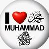 user46689765446420