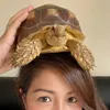 tine.and.the.tort