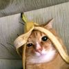 mr_yahiii