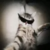 livkaa02