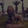 bayane.el.boursou7
