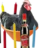 novatonoaxe