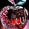 majid.jui7