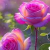 md.totol996