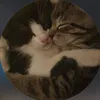 couplacute