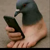 karrarzzzzz2