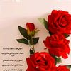 user58048392335151