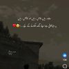 yousafjaan6759
