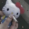 vilte.kitty