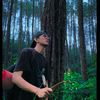 himmawariiii