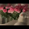 zututxoyuxugifkhfojgck
