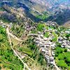 aboshaya21