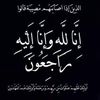 user8252453478530