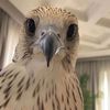 .ouxot