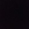 adam.yaeesh5