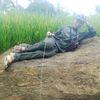 dadangkakan4