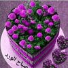 maryam.mahmoud0652