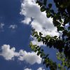 nada_9427