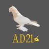 a.d.pigeonkingdom21