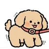 Sang_megym