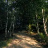 talyubitu