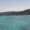 sarahsassouabd